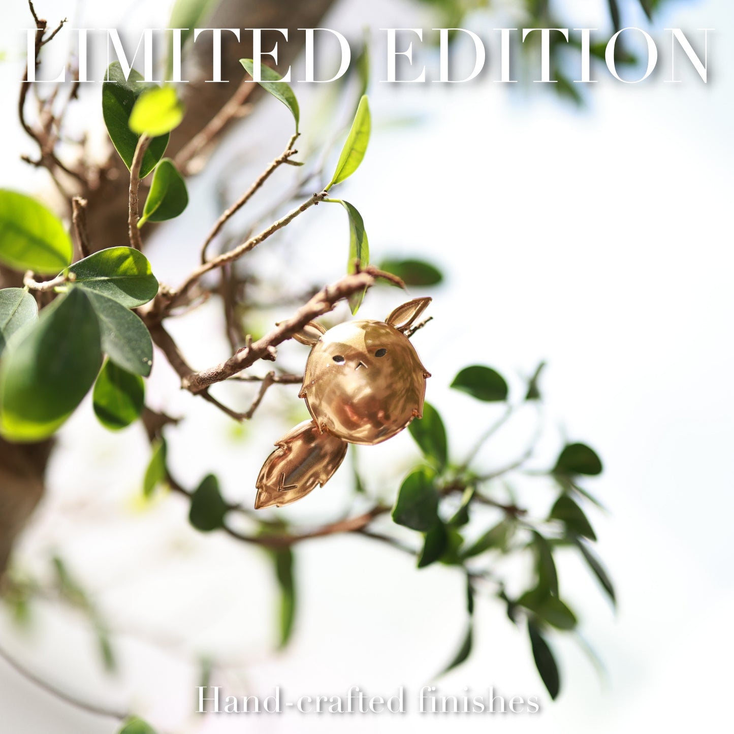 Alice Cloak Bundle Preorder